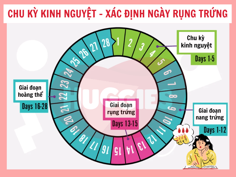 6 tháng là bao nhiêu ngày? Cách tính chính xác