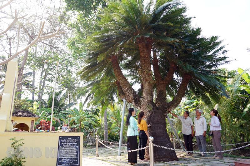 Áp dụng tử vi hôm nay thiên tuế