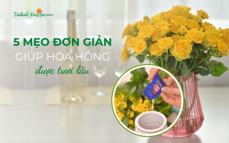 Bảo Quản Hoa Hồng Đen: Mẹo Giữ Hoa Tươi Lâu Hơn