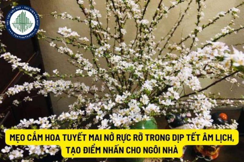 Bình Hoa Tuyết Mai Sinh Động