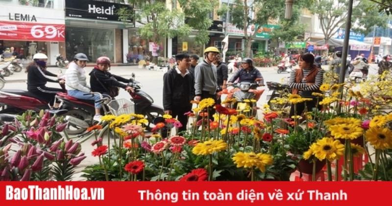 Bố trí cây cảnh và 2 tấn