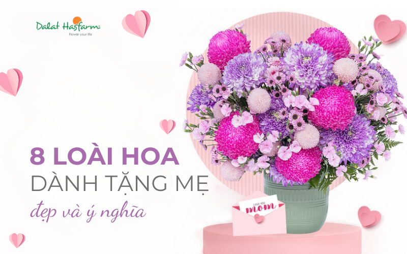 Các loại hoa tặng mẹ