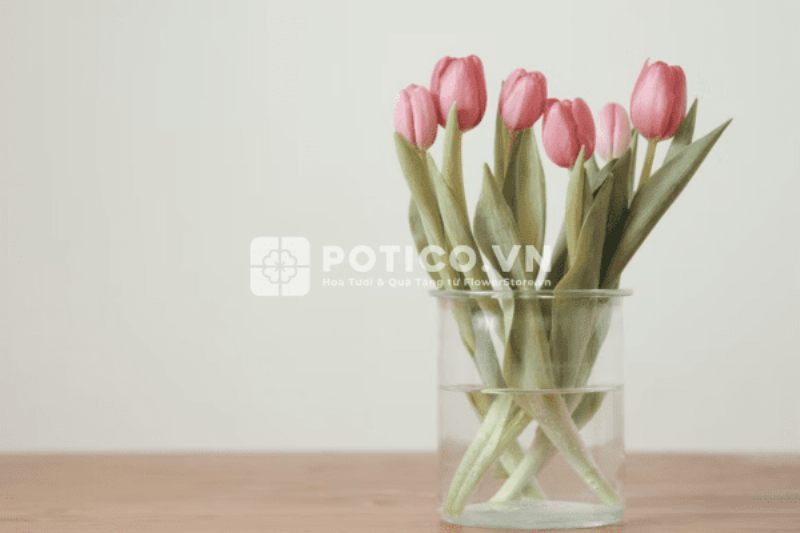 Cách bảo quản hoa tulip tím