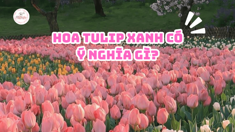 Cách chọn và bảo quản hoa tulip xanh