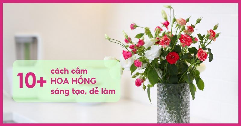 Cắm hoa đẹp đơn giản với hoa hồng