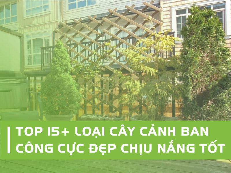 Cây Cảnh Treo Ban Công Đẹp