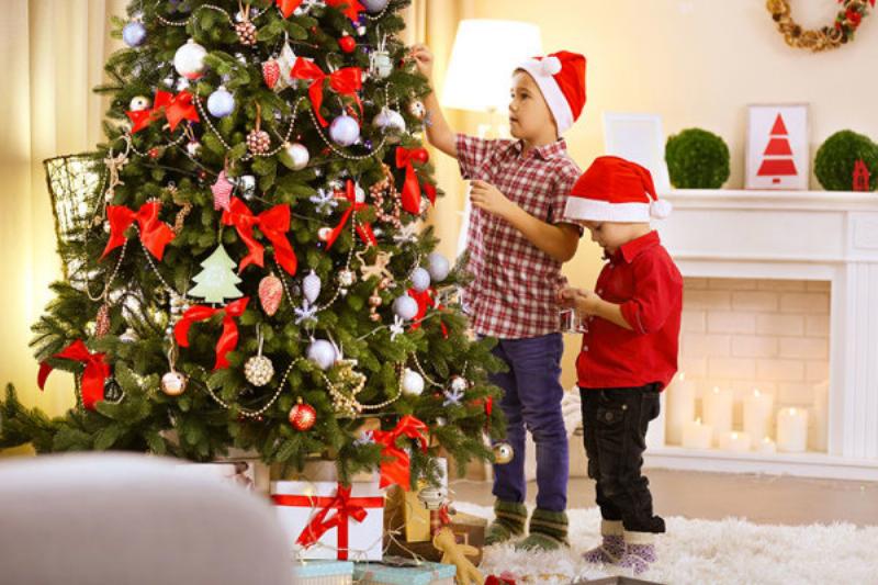 Chọn và Bảo Quản Cây Thông Noel Tươi