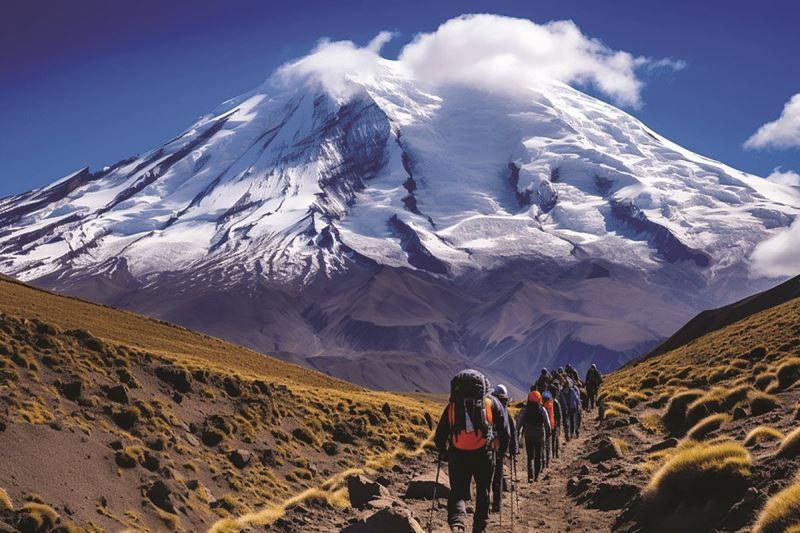 Hoa hồng Ecuador đỏ trên sườn núi Andes