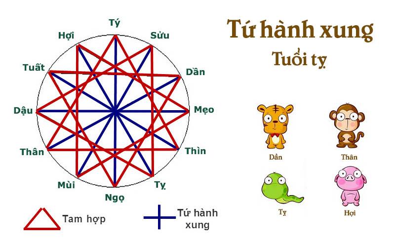 Cách kết hợp 25/8 với các yếu tố phong thủy khác