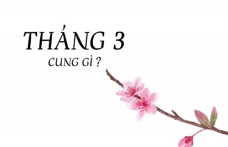 Kết hợp Phong Thủy cho người sinh 16 tháng 3