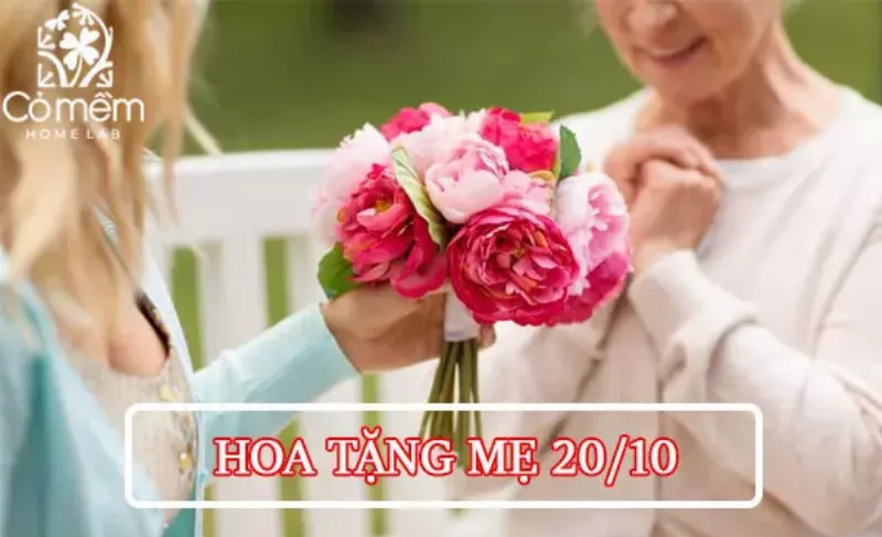 Mẫu hoa tặng mẹ 20/10