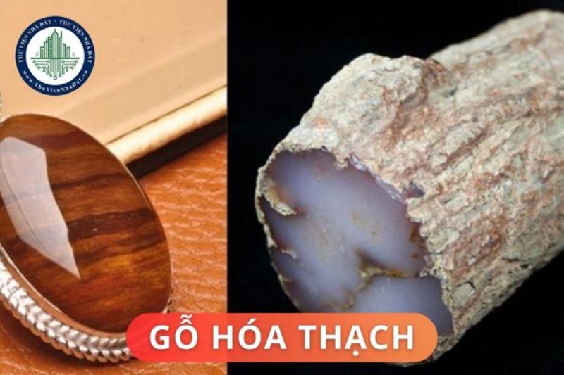 Màu sắc, hình dạng, vật liệu 12 cung hoàng đạo phong thủy