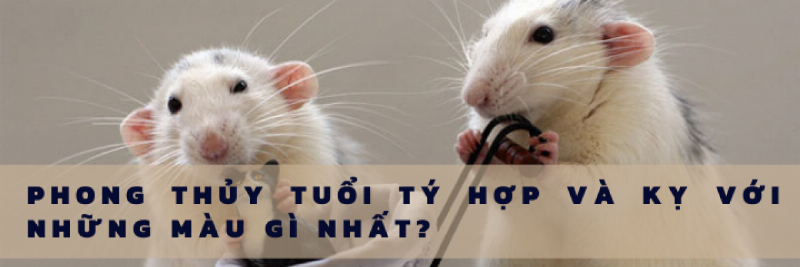 Màu Sắc Hợp Mệnh Tuổi Bính Tý