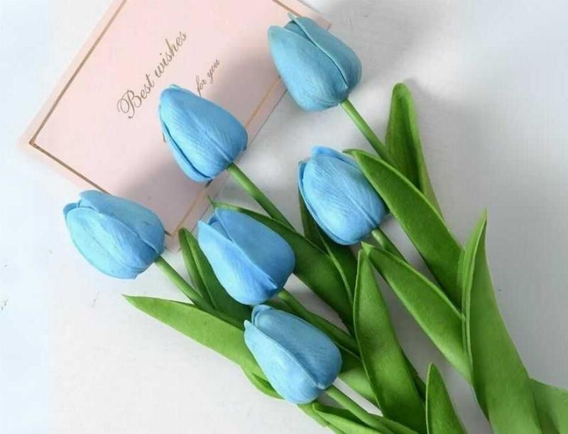 Ý nghĩa hoa tulip xanh: Biểu tượng của hy vọng và niềm tin