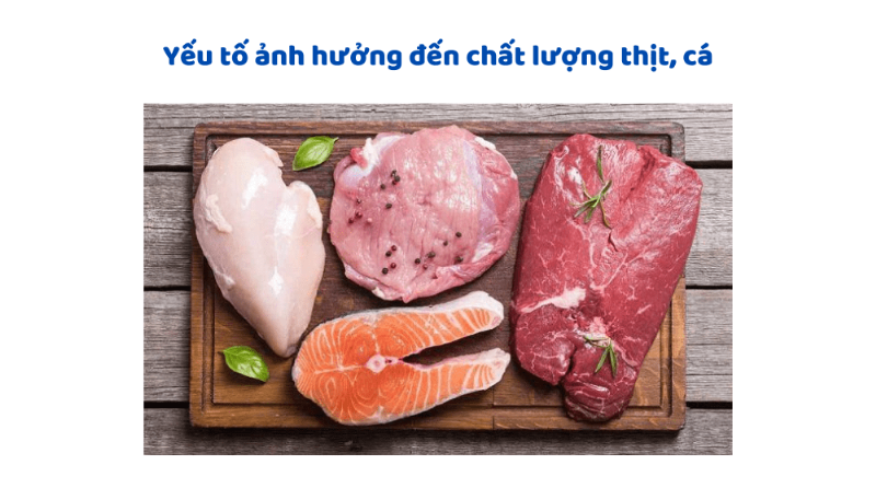 Yếu tố ảnh hưởng đến độ tươi của hoa