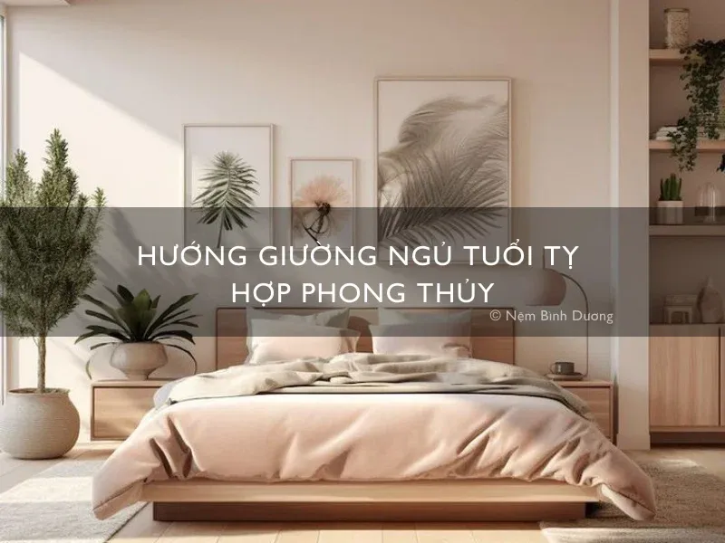 Lợi ích của phong thủy cho tuổi Ất Tỵ