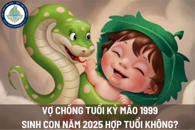 Lợi ích phong thủy Kỷ Mão 2025