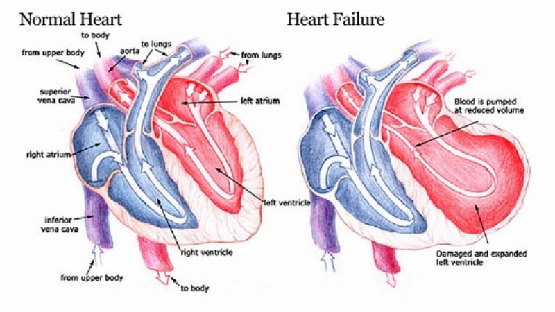 Nguồn gốc và ý nghĩa 75 tuổi sinh năm bao nhiêu trong phong thủy