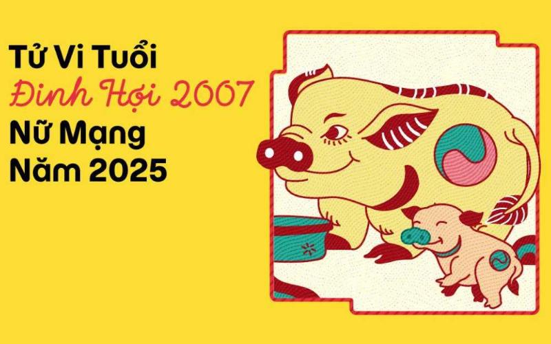 Phong Thủy Học Tập Cho Tuổi Đinh Hợi