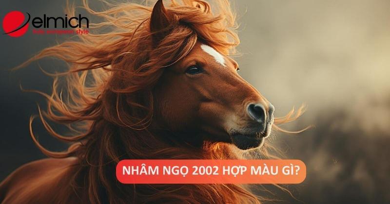 Tuổi Nhâm Ngọ 2002 Hợp Màu Sắc Gì?