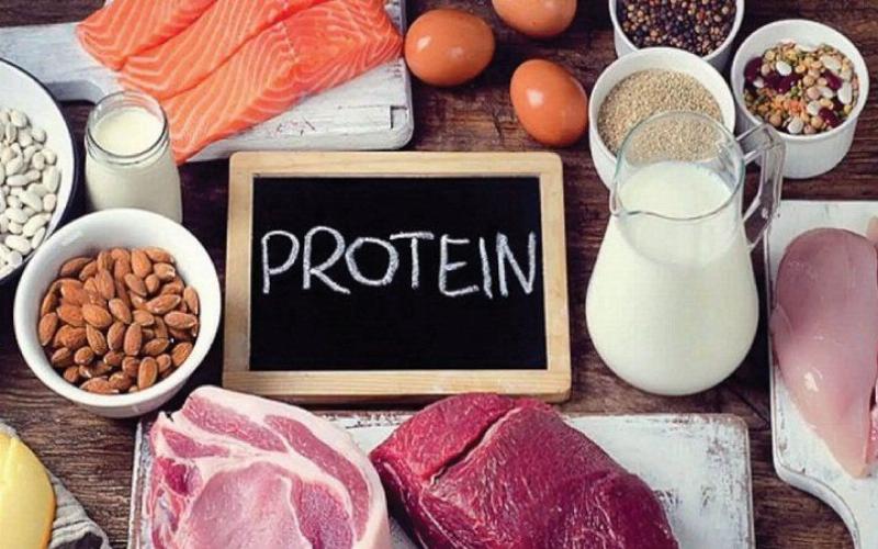 Bổ sung protein cầu thủ