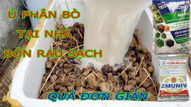 Nguyên liệu ủ phân bò