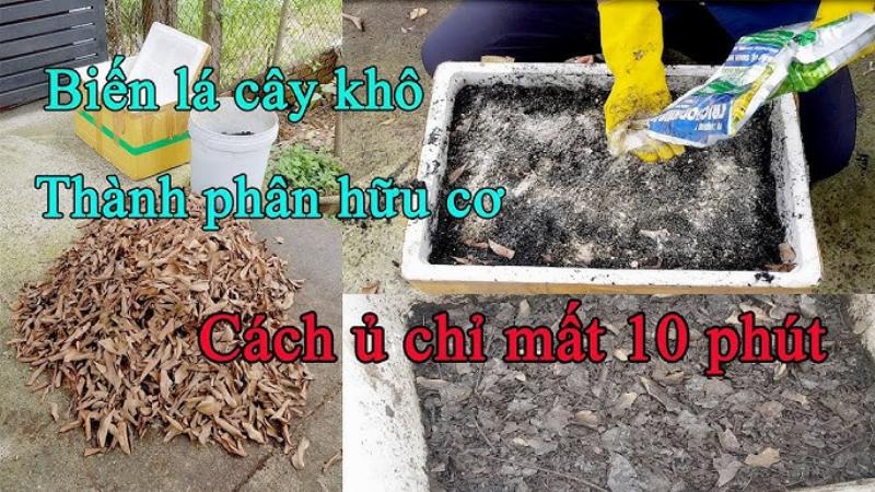 Phân hữu cơ cho vườn nhà