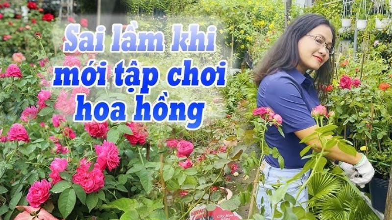 Cách trồng hoa hồng Đà Lạt tại nhà