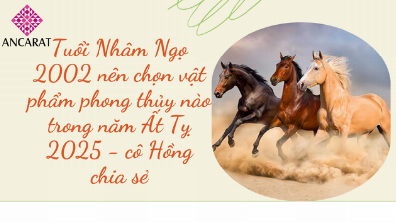 Tuổi Nhâm Ngọ 2002 và Phong Thủy