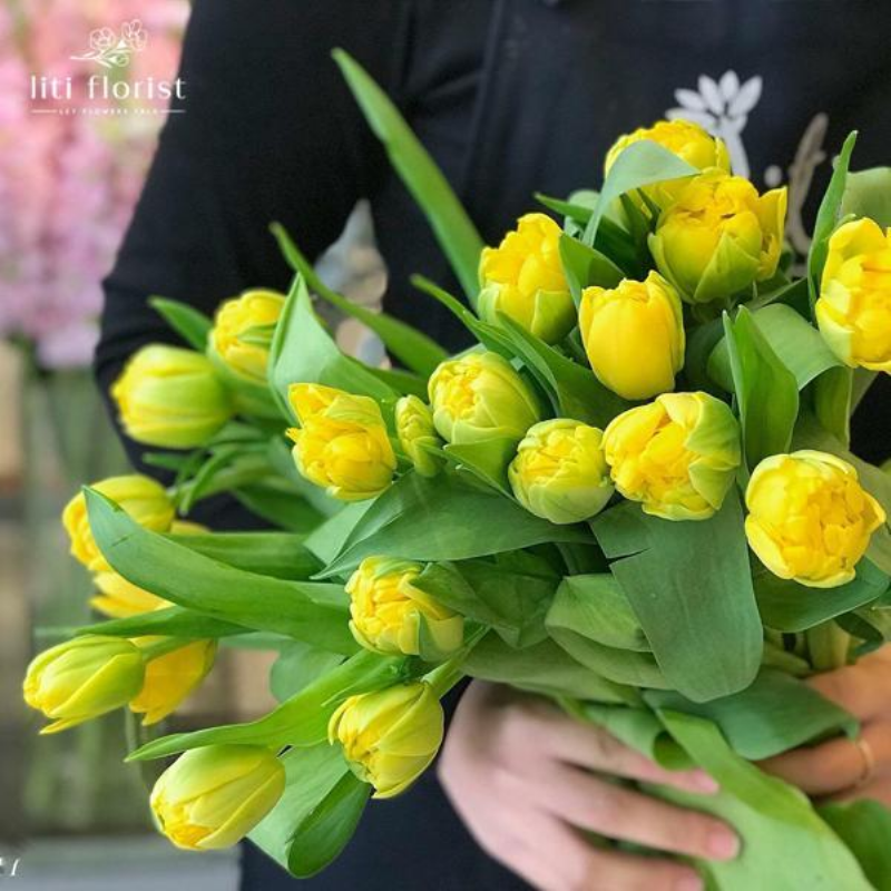 Hoa tulip vàng kết hợp với các loại hoa khác