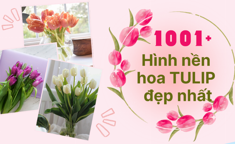 Ảnh cận cảnh một bông hoa đẹp, rõ nét từng chi tiết, phù hợp làm ảnh chúc mừng sinh nhật tinh tế