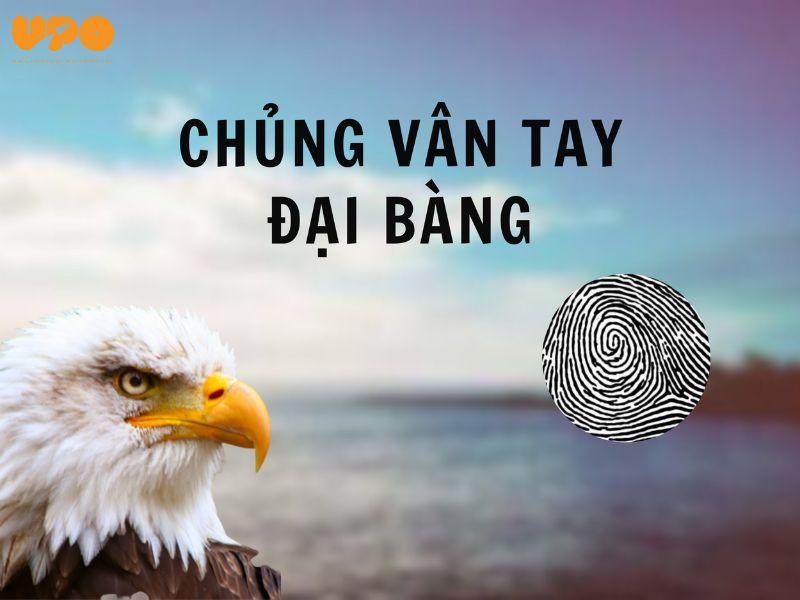 Một bàn tay với các đường vân tay khác nhau, bao gồm cả vân xoáy và vân sóng, thể hiện sự đa dạng tự nhiên.