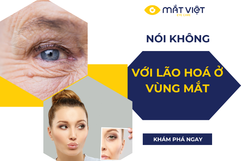 Bảo quản hoa tươi đúng cách giúp chúng duy trì vẻ đẹp, liên tục cảm hóa không gian sống.