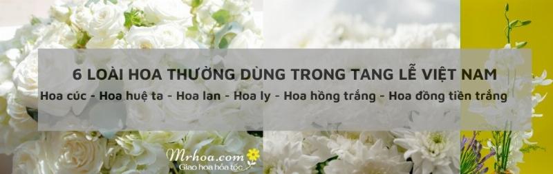 Tổng hợp các loại hoa người mất phổ biến như cúc, huệ, hồng trắng, ly và ý nghĩa đặc trưng của từng loại hoa