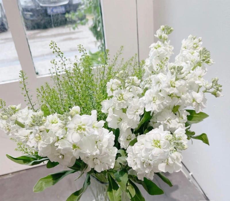 Hình ảnh minh họa các bước chăm sóc bó hoa chúc mừng sau khi nhận, như cắt gốc hoa dưới nước, thay nước, loại bỏ lá héo
