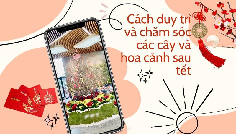 Hướng dẫn chi tiết cách trồng và chăm sóc các loại hoa lan phổ biến tại nhà để cây luôn xanh tốt và ra hoa đẹp