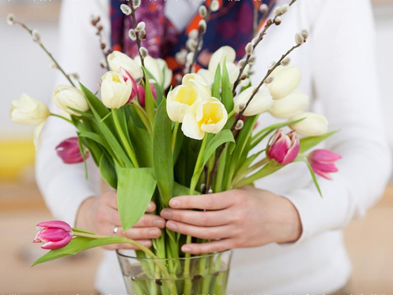 Hướng dẫn cách cắt tỉa cành hoa để hoa tươi lâu hơn trong bình 