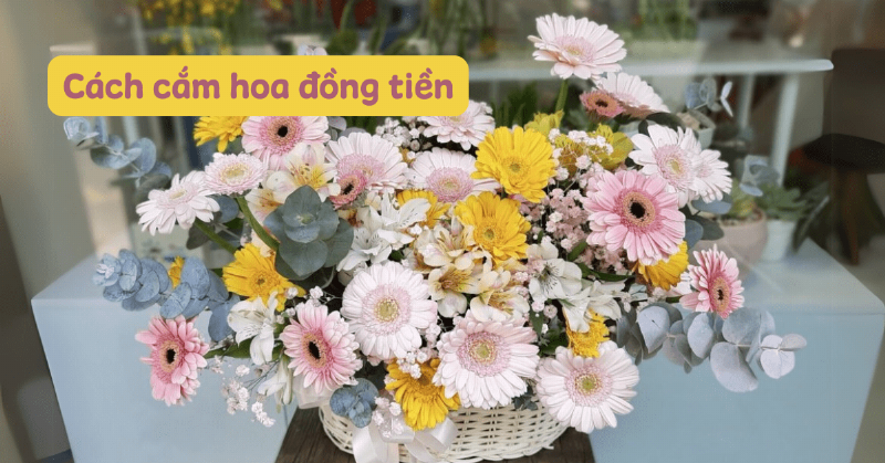 Hinh anh mot lo hoa dong tien tuoi lau trong nuoc sach va cach cat goc hoa duoi nuoc
