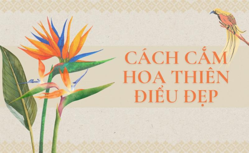 Hình ảnh minh họa cách cắt gốc hoa tulip vát 45 độ dưới nước bằng dao sắc.