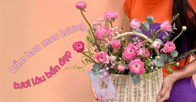 Hướng dẫn cách chăm sóc bó hoa tiền có kết hợp hoa tươi để giữ hoa được tươi lâu.