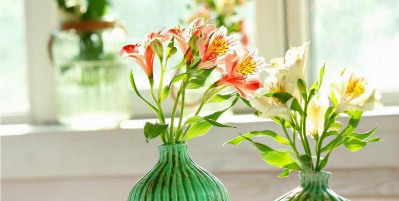 Một người đang nhẹ nhàng cắt gốc hoa và tỉa lá héo trên một bó hoa tươi, đặt trong bình nước sạch.
