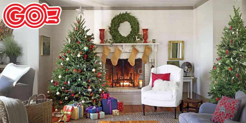 Chọn và bảo quản cây thông noel