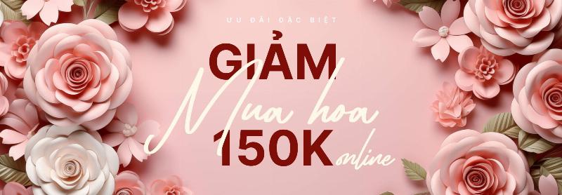 Chọn hoa cẩm chướng màu hồng làm quà tặng 20/10 cho mẹ thể hiện tình yêu và lòng biết ơn sâu sắc