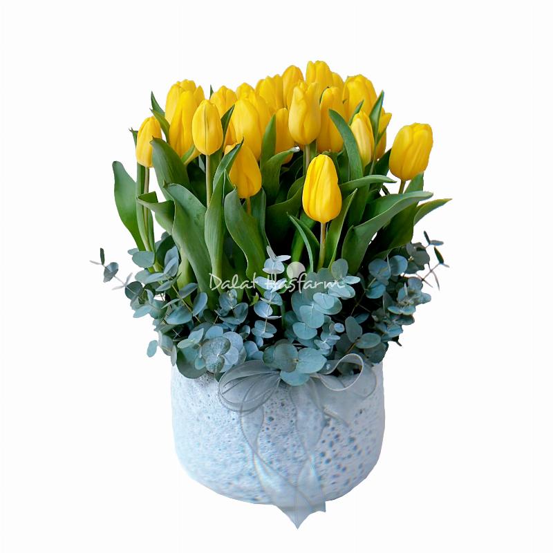 Hình ảnh minh họa cách kiểm tra nụ hoa, cành và lá khi chọn mua hoa tulip hồng