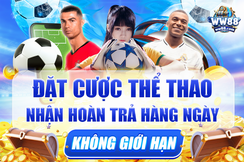 Chậu hoa nhất điểm hoàng vàng rực đang được bày bán tại cửa hàng hoa, nhiều nụ và hoa nở đều