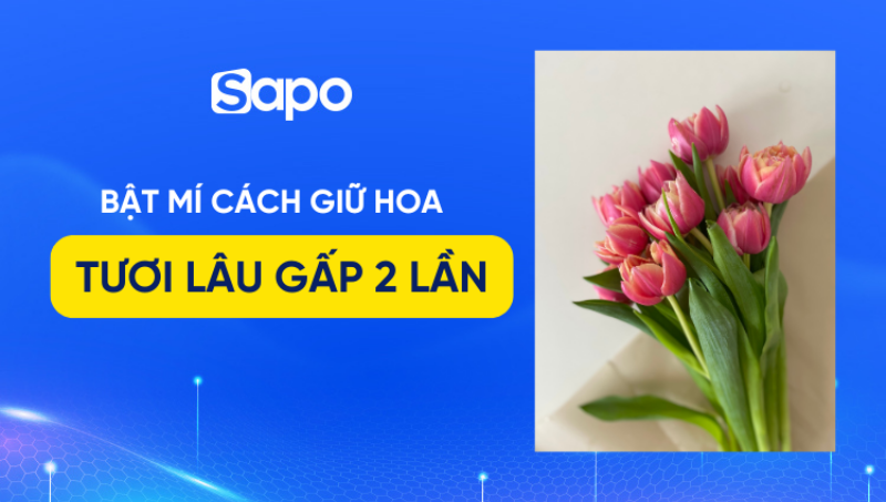 Bí quyết chọn và bảo quản hình bông hoa hồng cắt cành tươi lâu trong bình