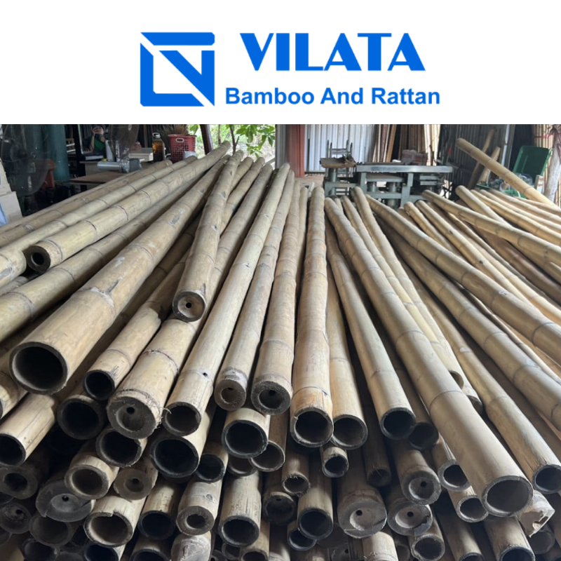 Thân cây trúc quân tử với các đốt rõ ràng và màu sắc đặc trưng, thể hiện sự dẻo dai và ngay thẳng.