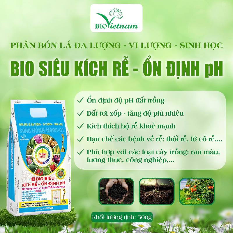 Dat trong cay canh thoat nuoc tot va thong thoang giup re phat trien khoe manh, ngan ngua ung re.