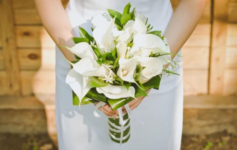 Giâm cành hoa hồng: Khám phá nguồn gốc và ý nghĩa