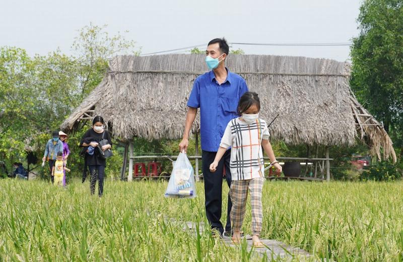 Chuyên gia chia sẻ kinh nghiệm và lời khuyên về bông sao nhái cánh bướm